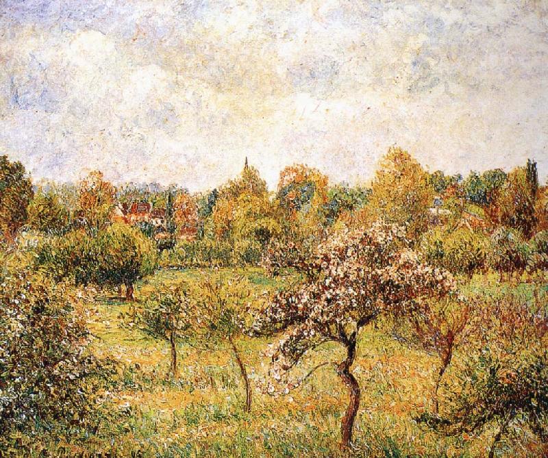 Camille Pissarro The apple trees on the lawn Norge oil painting art